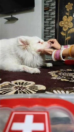 “My maxs Morning Routine ☀️ | Cutest Start to the Day!”