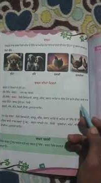 Punjabi Grammar | ਵਚਨ (Vachan) 📘 | Singular and Plural in Punjabi