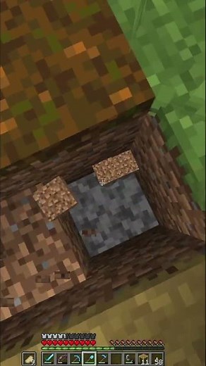 How to turn Podzol into Gras with a Silktouch schovel #minecraft