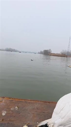 #1million #duet #fypシ @Hoor Mahaveera