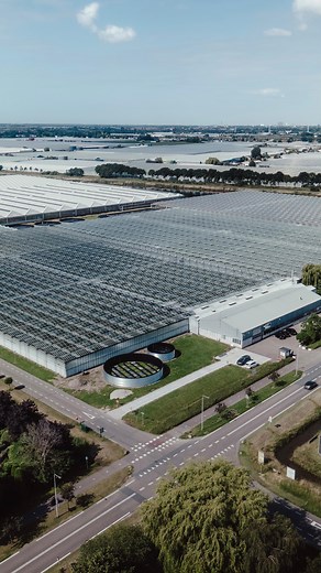 3.1K views · 29 reactions | 樂 Ever thought how an army of mites...