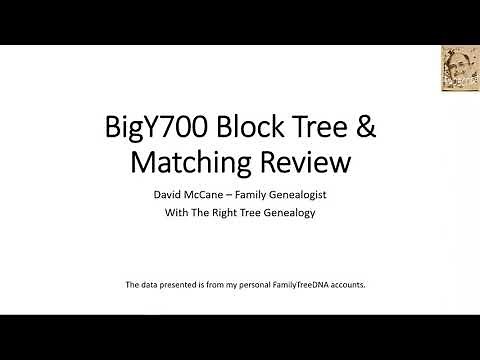 FamilyTreeDNA - BigY700 Block and Match Data -Quick Overview- Real Data!