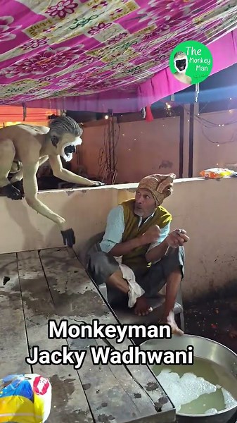 monkeyman Jacky Wadhvani #comedy #facebook #gujarat #monkeylove #india #instagram #monkeylove