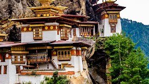 East Asia | King's College London