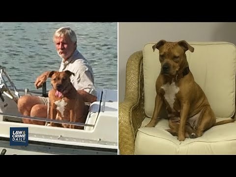 Civil Trial of Man Who Killed His Neighbor's Dog Begins (L&C Daily)