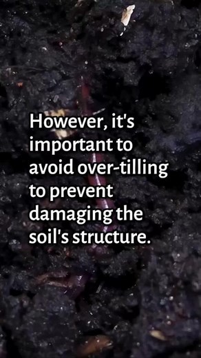 Soil Society on TikTok