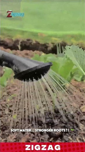 Precision Watering Nozzle for Healthy Vegetable Growth