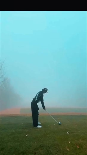 Beautiful and Complete Swing Design Inspiration
