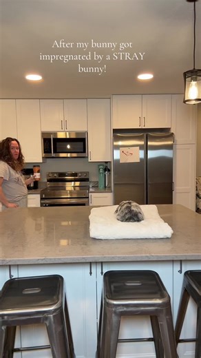 A bunny was dumped in our neighborhood. We were trying to catch him for his own safety. Couldn’t. Left the garage door open for a minute. Walked back in and he was just laying next to Hero like he’d always lived here. Hero. Ma’am. Babies due in about two weeks. He’s been safely taken to a shelter. She’s fine. We’re preparing. But apparently she is not hard to impress.