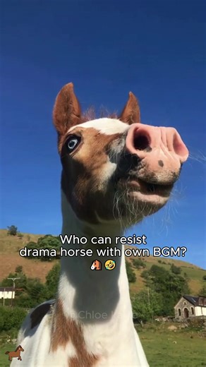 Discover Heartfelt Background Music of Drama Horses