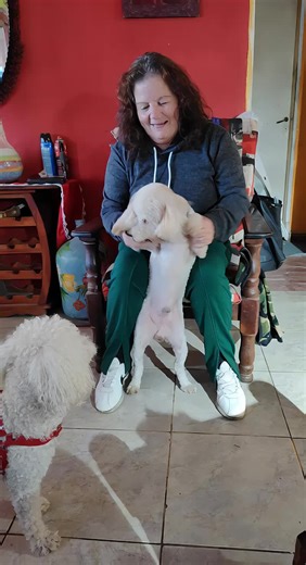 Claudio Ismael Velaz on TikTok