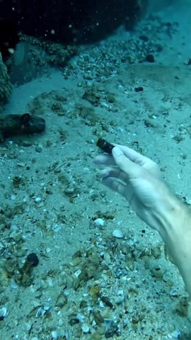 Cleaning the Ocean Again