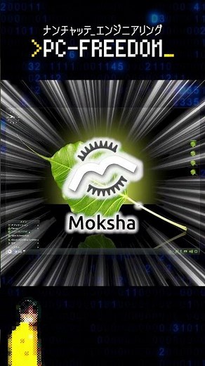 Bodhi Linux | #linux #debian #ubuntu around the world