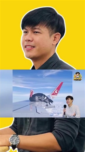 part 52 | 🤣#creatorsearchinsights #funnyvideos #fyp #ForYou