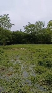 4.9K views · 157 reactions | Alright go off then | Hand over your man card -_____- | Facebook