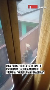 3.2M views · 62K reactions | Um morador de Marechal Cândido Rondon,...