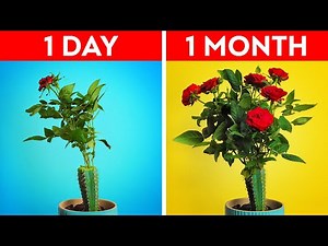 Useful Plant Growing Hacks For Your Inner Gardener || Easy Ways to Refresh Your Home!