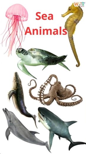 7 Fascinating Sea Animals 🌊 | Amazing Ocean Creatures in 60 Seconds
