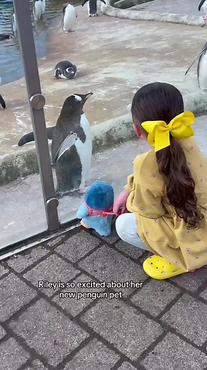 Riley adores her new pet penguin and is so excited that she can take baby penguin out for walks! 🥹 with 25 sounds and reactions it’s such an interactive friend 💛 #AD #LittleLivePets #WaddlesThePenguin #PenguinWaddles #motherdaughter #motheranddaughter #daughter #mumsoftiktok #momsoftiktok #fyp