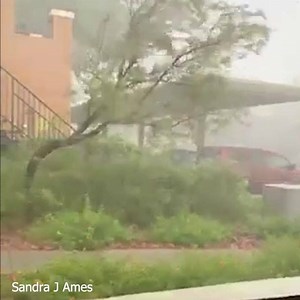61K views · 912 reactions | Incredible video! Strong winds and heavy rain hit the southeast valley. This video was taken near St. Rose and Eastern. | 8 News Now | Facebook