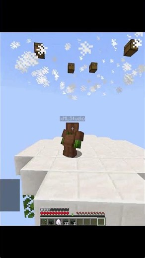 My luck is INSANE on Minecraft Skyblock