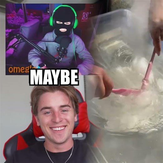 TELLING IP STEALERS THEIR ADRESS ON OMEGLE