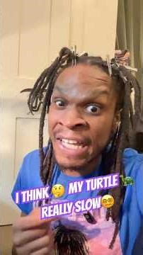 Why Does My Baby Turtle 🐢 Keep Trying to Swim Through Glass? 😂