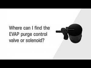 Common Check Engine Light Causes: EVAP Control Valve