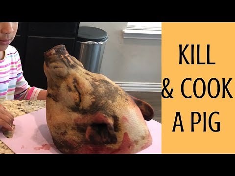 Kill and Cook a Pot Belly Pig