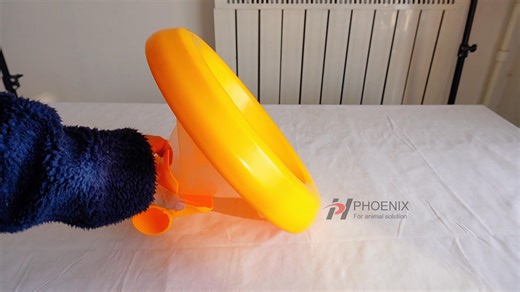 automatic poultry feeding system chicken feeder pan for poultry farming equipment chicken house https://www.chickenfarmequipment.com Email: sales@goldphoenixa.com 86 19061974162 #chickenfeeder #poultryfarmingequipment #chickenhouse | Phoenix Poultry Equipment Co., Ltd