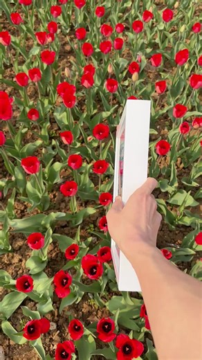 Mother Hand Flower Shadow Box: A Perfect Keepsake