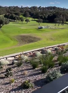 Two people miraculously escaped death after a Piper Cherokee light plane made an emergency landing crashing onto Mona Vale Golf Course in Sydney’s north, Australia 🇦🇺. Insaka | Insaka
