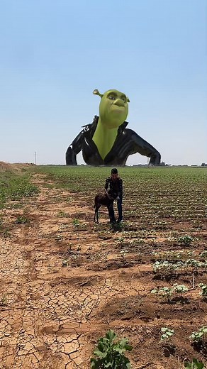 Person and Donkey Interactions in a Barren Field