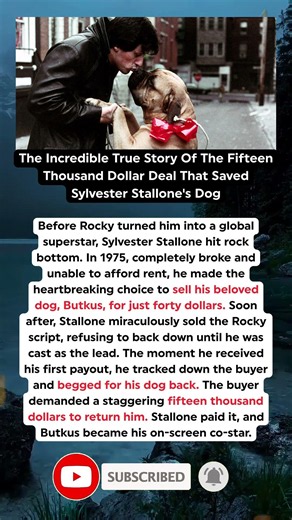 The Heartbreaking 15,000 Dollar Sacrifice Sylvester Stallone Made For His Dog