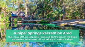 Best Natural Springs in Florida