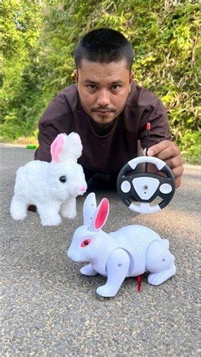 Remote control Big Rabbit and Rc Small Khargosh 2ta