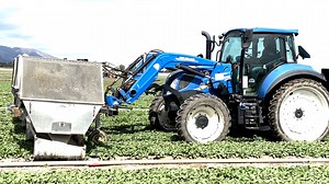 Robots are coming to American farms as farmworkers become more scarce