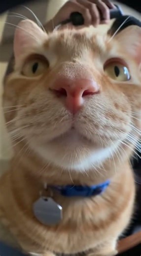 TECHNOLOGYA... 💀 Unexpected Tech Fails That Will Crack You Up #meme #funny #viral