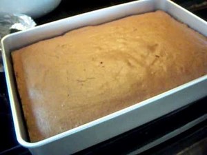 Freshly Baked Old Fashioned Chocolate Cake (Nigella Lawson recipe)