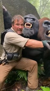 😱 MAN vs BIPEDAL BEAST: HALF HUMAN AND HALF SILVERBACK GORILLA WITH WITH MULTIPLE HEADS! Intense life-or-death struggle caught on camera 🔥 #Bipedalbeast:HalfhumanandhalfSilverbackGorillawithwithmultipleheads #caughtoncamera #viral #realfootage #scary #discovery | Hybrid Animals