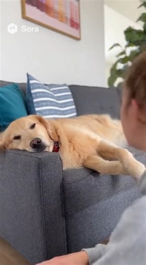 Selective Hearing: Activated! 😆 | iHeartDogs