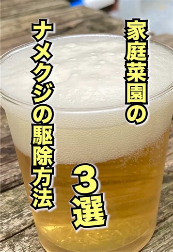 家庭菜園のナメクジ駆除法3選