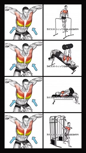 How to Growth Lower Chest ✅ | Fit Pro