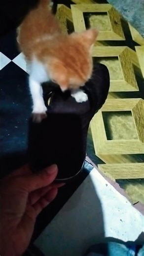 playing my slippers subscribe please 🙏😘