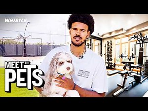 Brooklyn Nets Cam Johnson Pet Reveal & Mansion Tour 👀