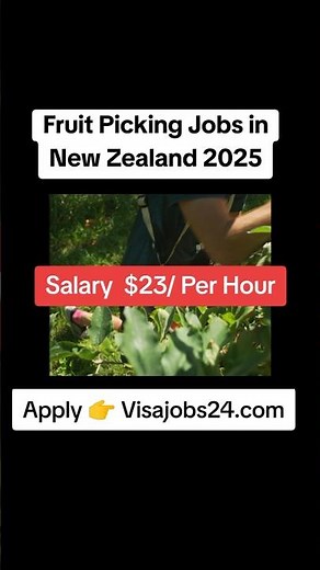 Fruit Picking Jobs in New Zealand 2025: Earn $23/Hour with Visa Sponsorship #job #jobsarch #shorts