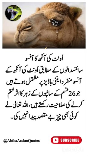 4 Timeless Quotes That Can Change the Way You See Life | Charlie Chaplin’s Wisdom