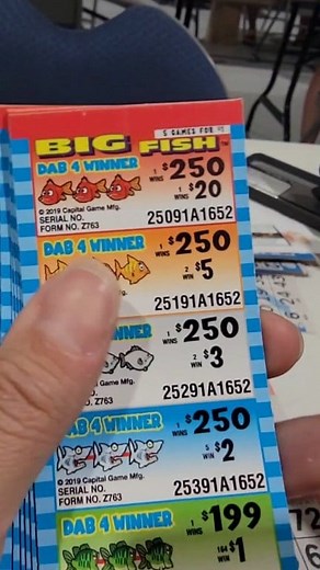 Big Fish $1,199 #excited #asmr #fypシ゚viral | Bingo Pull Tab Addict