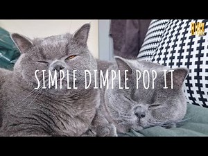 Simple Dimple Pop It (remix) - M&A, Бэтси // (Vietsub + Lyric) Tik Tok Song