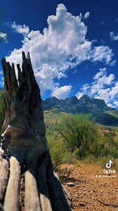 Enjoy a beautiful day in Oro Valley by exploring Catalina State Park and the Oro Valley sign. | Visit Tucson